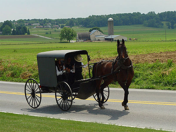 600px-Lancaster_County_Amish_03펜실이베니아주 란케스터 마차탄 남자.jpg
