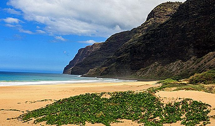 9-top-rated-tourist-attractions-on-kauai-5 폴리 할레 주립공원.jpg