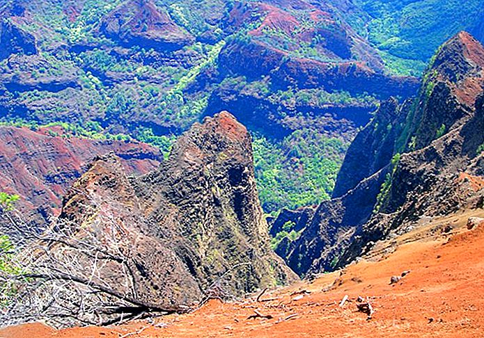 9-top-rated-tourist-attractions-on-kauai-3Kohe'e 주립공원.jpg