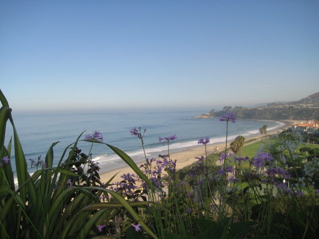 laguna beach 2008 123.jpg