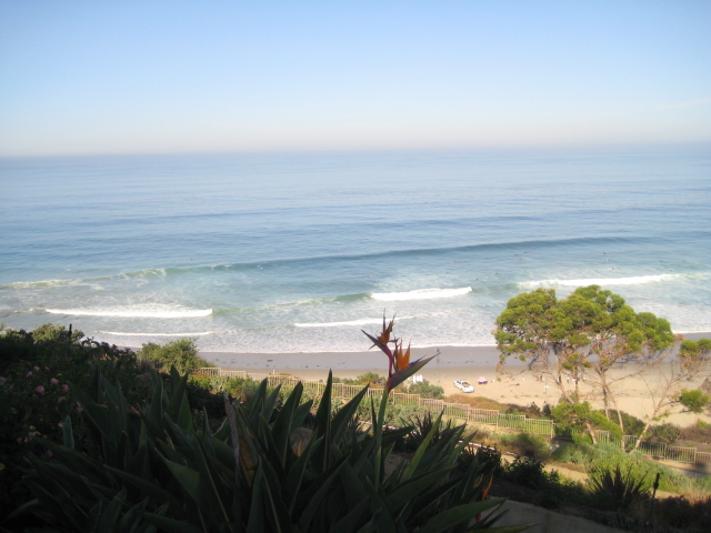 laguna beach 2008 128.jpg