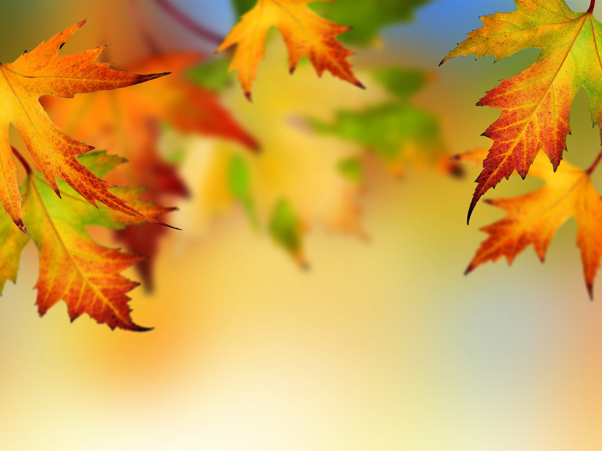 Autumn-maple-leaves-blurry-background_1920x1440.jpg